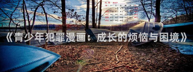 动态羞羞漫画：《青少年犯罪漫画：成长的烦恼与困境》