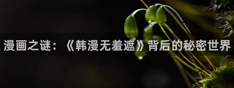 羞羞漫画歪歪