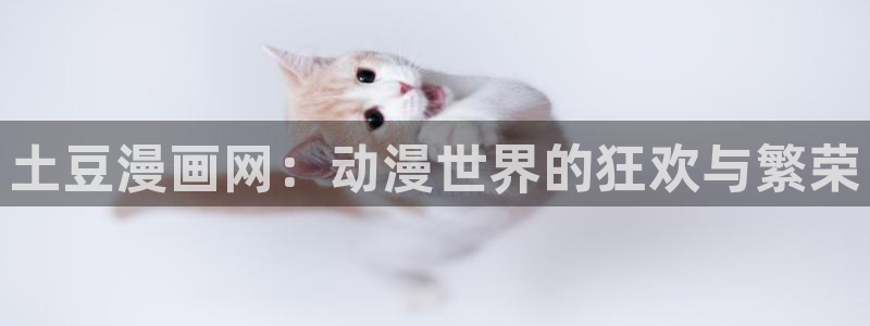 羞羞漫画免费看在线原神：土豆漫画网：动漫世界的狂欢与繁荣