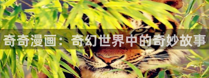 羞羞漫画首页限免