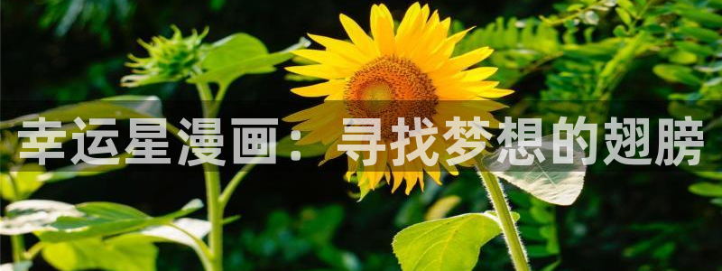 羞羞漫画主页sss：幸运星漫画：寻找梦想的翅膀