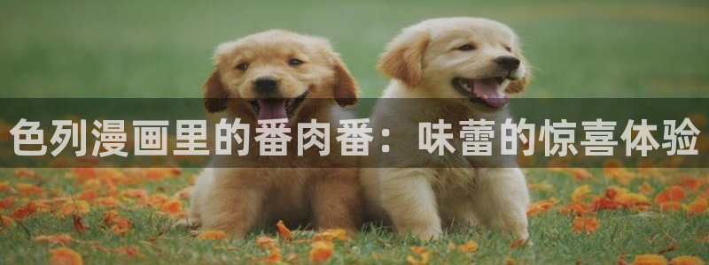 韩国无删减羞羞漫画